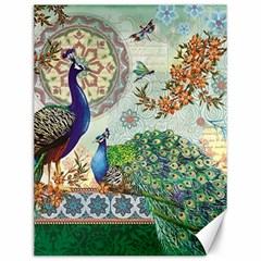 Royal Peacock Feather Art Fantasy Canvas 12  X 16 