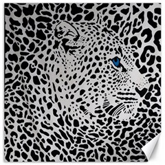 Leopard In Art, Animal, Graphic, Illusion Canvas 12  X 12  by nateshop