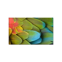 Parrot Feathers Texture Feathers Backgrounds Sticker Rectangular (100 Pack) by nateshop