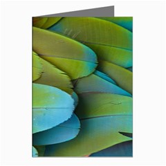 Parrot Feathers Texture Feathers Backgrounds Greeting Cards (pkg Of 8) by nateshop