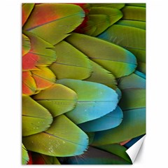 Parrot Feathers Texture Feathers Backgrounds Canvas 18  X 24  by nateshop