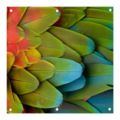 Parrot Feathers Texture Feathers Backgrounds Banner And Sign 3  X 3  by nateshop