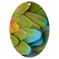 Parrot Feathers Texture Feathers Backgrounds Uv Print Acrylic Ornament Oval by nateshop
