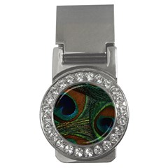 Peacock Feathers, Feathers, Peacock Nice Money Clips (cz)  by nateshop