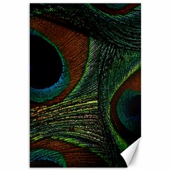 Peacock Feathers, Feathers, Peacock Nice Canvas 20  X 30  by nateshop
