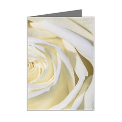 White Roses Flowers Plant Romance Blossom Bloom Nature Flora Petals Mini Greeting Card by Proyonanggan