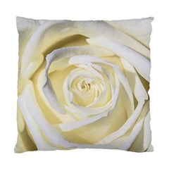 White Roses Flowers Plant Romance Blossom Bloom Nature Flora Petals Standard Cushion Case (two Sides) by Proyonanggan