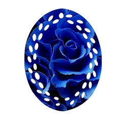 Blue Roses Flowers Plant Romance Blossom Bloom Nature Flora Petals Ornament (Oval Filigree)