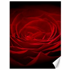 Rose Red Rose Red Flower Petals Waves Glow Canvas 36  X 48  by Proyonanggan