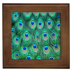 Feather, Bird, Pattern, Peacock, Texture Framed Tile by nateshop