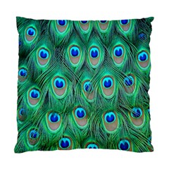 Feather, Bird, Pattern, Peacock, Texture Standard Cushion Case (two Sides) by nateshop