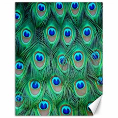 Feather, Bird, Pattern, Peacock, Texture Canvas 12  X 16  by nateshop