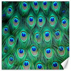 Feather, Bird, Pattern, Peacock, Texture Canvas 20  X 20  by nateshop