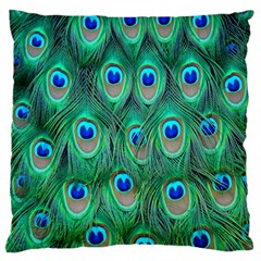 Feather, Bird, Pattern, Peacock, Texture Large Premium Plush Fleece Cushion Case (two Sides) by nateshop