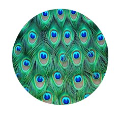 Feather, Bird, Pattern, Peacock, Texture Mini Round Pill Box (pack Of 5) by nateshop