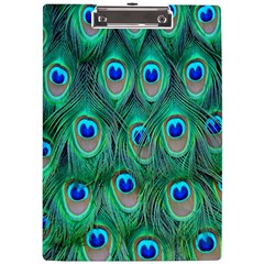 Feather, Bird, Pattern, Peacock, Texture A4 Acrylic Clipboard by nateshop