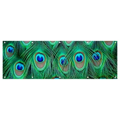 Feather, Bird, Pattern, Peacock, Texture Banner And Sign 12  X 4  by nateshop