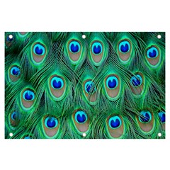 Feather, Bird, Pattern, Peacock, Texture Banner And Sign 6  X 4  by nateshop