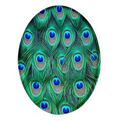 Feather, Bird, Pattern, Peacock, Texture Oval Glass Fridge Magnet (4 Pack)