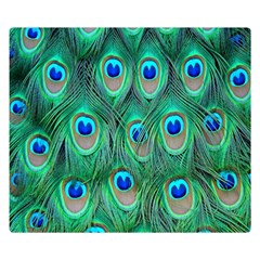 Feather, Bird, Pattern, Peacock, Texture Premium Plush Fleece Blanket (small) by nateshop