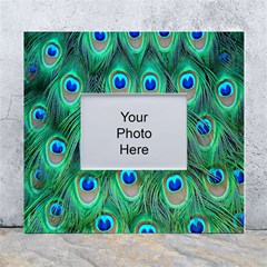 Feather, Bird, Pattern, Peacock, Texture White Wall Photo Frame 5  X 7  by nateshop