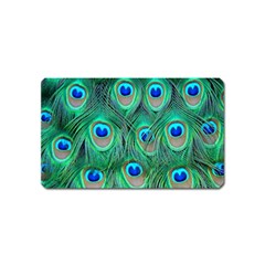 Peacock Feathers, Bonito, Bird, Blue, Colorful, Feathers Magnet (name Card) by nateshop