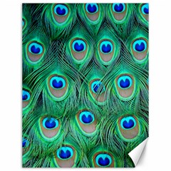 Peacock Feathers, Bonito, Bird, Blue, Colorful, Feathers Canvas 12  X 16  by nateshop