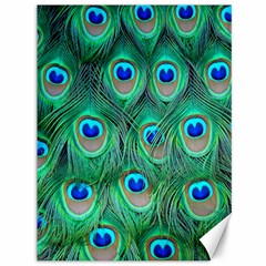 Peacock Feathers, Bonito, Bird, Blue, Colorful, Feathers Canvas 36  X 48  by nateshop