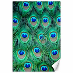Peacock Feathers, Bonito, Bird, Blue, Colorful, Feathers Canvas 12  X 18  by nateshop