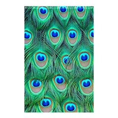 Peacock Feathers, Bonito, Bird, Blue, Colorful, Feathers Shower Curtain 48  X 72  (small) 