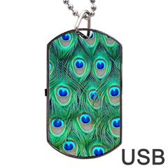 Peacock Feathers, Bonito, Bird, Blue, Colorful, Feathers Dog Tag Usb Flash (one Side) by nateshop