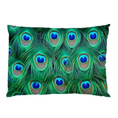 Peacock Feathers, Bonito, Bird, Blue, Colorful, Feathers Pillow Case (two Sides) by nateshop