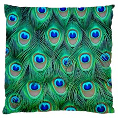 Peacock Feathers, Bonito, Bird, Blue, Colorful, Feathers Large Premium Plush Fleece Cushion Case (two Sides) by nateshop