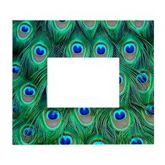 Peacock Feathers, Bonito, Bird, Blue, Colorful, Feathers White Wall Photo Frame 5  X 7  by nateshop