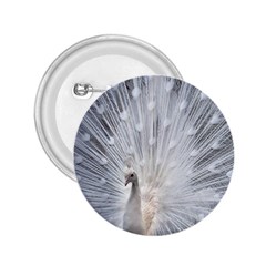 White Feathers, Animal, Bird, Feather, Peacock 2 25  Buttons by nateshop