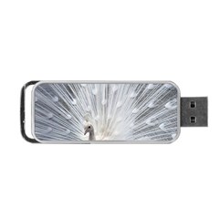 White Feathers, Animal, Bird, Feather, Peacock Portable Usb Flash (two Sides) by nateshop