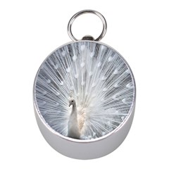 White Feathers, Animal, Bird, Feather, Peacock Mini Silver Compasses by nateshop