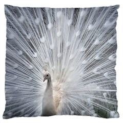 White Feathers, Animal, Bird, Feather, Peacock Large Premium Plush Fleece Cushion Case (one Side) by nateshop