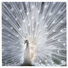 White Feathers, Animal, Bird, Feather, Peacock Wooden Puzzle Square by nateshop