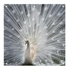 White Feathers, Animal, Bird, Feather, Peacock Banner And Sign 4  X 4  by nateshop