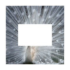 White Feathers, Animal, Bird, Feather, Peacock White Box Photo Frame 4  X 6  by nateshop