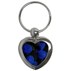 Berry, One,berry Blue Black Key Chain (heart) by nateshop