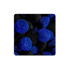 Berry, One,berry Blue Black Square Magnet by nateshop