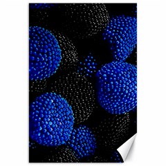 Berry, One,berry Blue Black Canvas 20  X 30  by nateshop