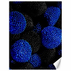 Berry, One,berry Blue Black Canvas 12  X 16  by nateshop