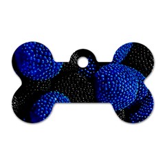 Berry, One,berry Blue Black Dog Tag Bone (one Side) by nateshop