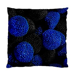 Berry, One,berry Blue Black Standard Cushion Case (two Sides) by nateshop