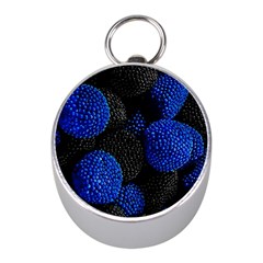 Berry, One,berry Blue Black Mini Silver Compasses