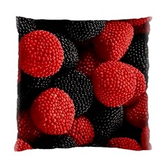 Berry,curved, Edge, Standard Cushion Case (two Sides) by nateshop