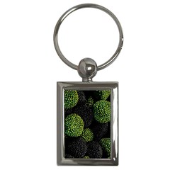 Berry,note, Green, Raspberries Key Chain (rectangle) by nateshop